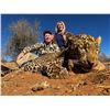 Image 1 : Trophy Leopard Hunt in Namibia