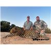 Image 2 : Trophy Leopard Hunt in Namibia