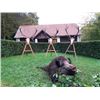 Image 2 : Hunting in Hungary for Roebuck and Wild Boar 2 Hunters 2 Nonhunters
