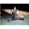 Image 3 : Hunting in Hungary for Roebuck and Wild Boar 2 Hunters 2 Nonhunters
