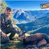 Image 3 : Couples Adventure-Chamois Hunting Wine Tasting Tour Barcelona