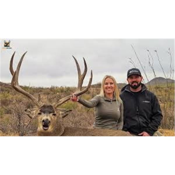 Sonora Trophy Desert Mule Deer