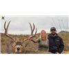 Image 1 : Sonora Trophy Desert Mule Deer