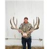 Image 2 : Sonora Trophy Desert Mule Deer