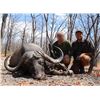 Image 1 : Mozambique Free Range Cape Buffalo Hunt