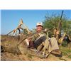 Image 2 : Mozambique Free Range Cape Buffalo Hunt