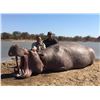 Image 3 : Mozambique Free Range Cape Buffalo Hunt