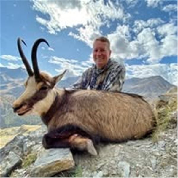 Chamois Hunt in the French  Alps