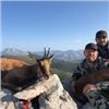 Image 3 : Chamois Hunt in the French  Alps