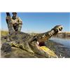 Image 2 : Hippo Hunt in the Caprivi with Jamy Traut