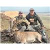 Image 1 : Mongolia – Gobi Ibex and Maral Stag Combo Hunt