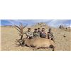 Image 2 : Mongolia – Gobi Ibex and Maral Stag Combo Hunt