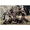Image 3 : Mongolia – Gobi Ibex and Maral Stag Combo Hunt