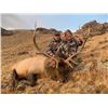 Image 4 : Mongolia – Gobi Ibex and Maral Stag Combo Hunt