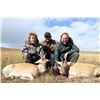 Image 5 : Mongolia – Gobi Ibex and Maral Stag Combo Hunt