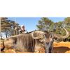 Image 2 : Wildebeest Special-1-Golden, 1-Blue and 1- Black for 2 Hunters and 2 Non hunters