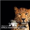 Image 3 : Wildebeest Special-1-Golden, 1-Blue and 1- Black for 2 Hunters and 2 Non hunters