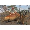 Image 1 : Zambia Plains Game Safari for Two Hunters with Famed Outfitter Johny du Plooy