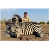 Image 3 : Zambia Plains Game Safari for Two Hunters with Famed Outfitter Johny du Plooy