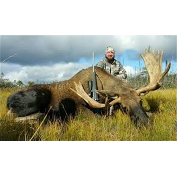 Moose and Bear Hunt