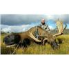 Image 1 : Moose and Bear Hunt