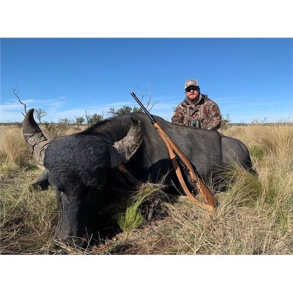 Argentina Water Buffalo and Wild Boar Hunt