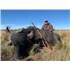 Image 1 : Argentina Water Buffalo and Wild Boar Hunt