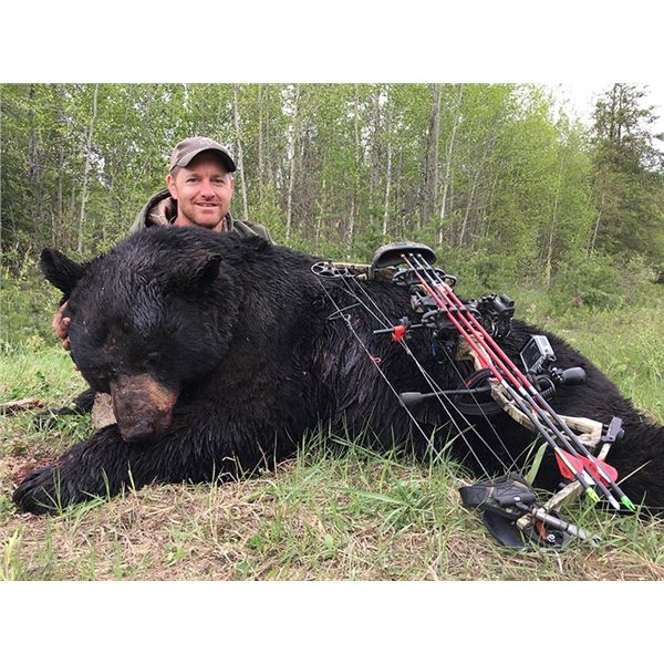 Saskatchewan Bear Hunting and Fishing