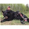 Image 1 : Saskatchewan Bear Hunting and Fishing
