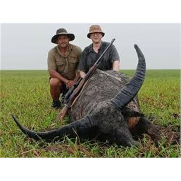 Australia--Buffalo Safari