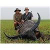 Image 1 : Australia--Buffalo Safari