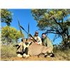 Image 1 : Gemsbuck, Bushbuck, Warthog,  Impala  for 2 Hunters