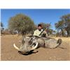 Image 3 : Gemsbuck, Bushbuck, Warthog,  Impala  for 2 Hunters
