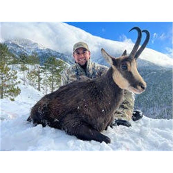 Carpathian Chamois Hunt in Serbia