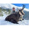 Image 1 : Carpathian Chamois Hunt in Serbia