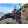 Image 2 : Carpathian Chamois Hunt in Serbia