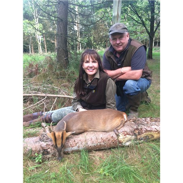 Muntjac or Fallow Deer-Free-Range Hunt - England - Includes Trophy Fee