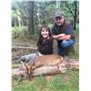 Image 1 : Muntjac or Fallow Deer-Free-Range Hunt - England - Includes Trophy Fee