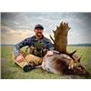 Image 2 : Muntjac or Fallow Deer-Free-Range Hunt - England - Includes Trophy Fee