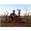 Image 3 : Namibia Afrihunt Safaris, 2 Hunters, 2 Non-Hunters, 1 Eland, 1 Impala, 1  Warthog-for each hunter