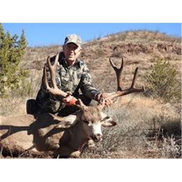 Mule Deer Hunt Santa Rosa Hunting Ranch Chihuahua Mexico