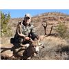 Image 1 : Mule Deer Hunt Santa Rosa Hunting Ranch Chihuahua Mexico