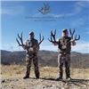 Image 3 : Mule Deer Hunt Santa Rosa Hunting Ranch Chihuahua Mexico