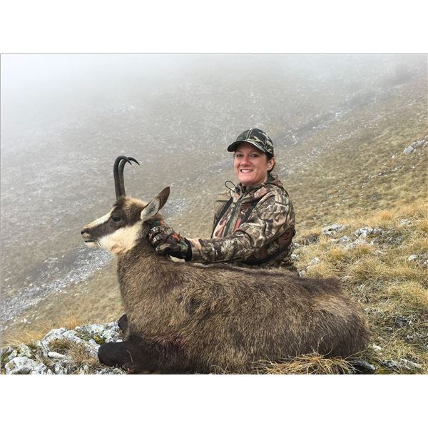 Balkan Chamois Hunt in Croatia