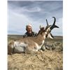 Image 1 : Antelope Hunt Wyoming