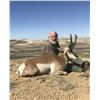 Image 2 : Antelope Hunt Wyoming