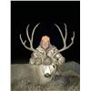 Image 3 : Antelope Hunt Wyoming