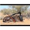 Image 3 : 9 Days 2 Hunters 1 Blue Wildebeest, 1 Zebra, 1 impala, 1 Blesbok, 2 Duiker/Steenbok, 2 Baboon/Jackal