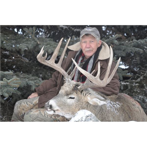 Archery Deer Hunt - Alberta
