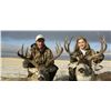 Image 2 : Archery Deer Hunt - Alberta